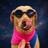 slopdog icon